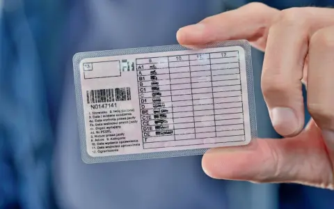 Ukraińskie prawo jazdy z widocznymi kategoriami pojazdów i danymi kierowcy.